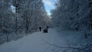Clearing the trails