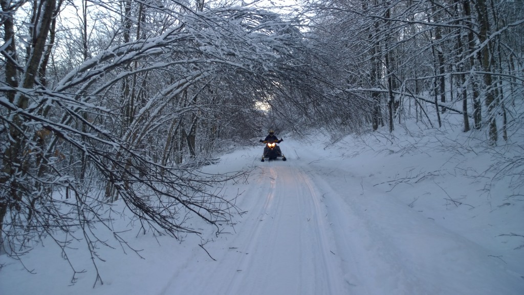 We need to get stuff like this trimmed back.