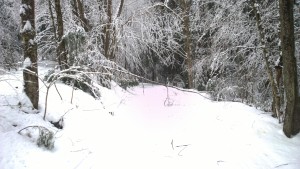 WP_20150119_12_35_31_Pro