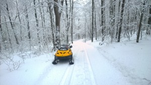 WP_20150119_12_49_33_Pro