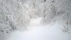 WP_20150119_12_57_19_Pro