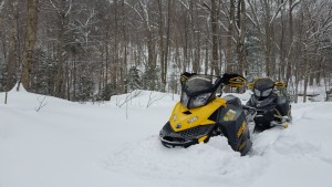 Caryl Brook taken 2/8