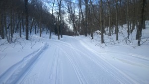 WP_20150310_09_40_13_Pro