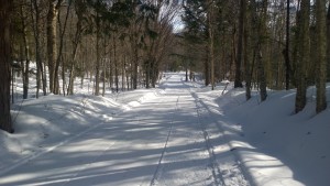 WP_20150310_09_54_55_Pro