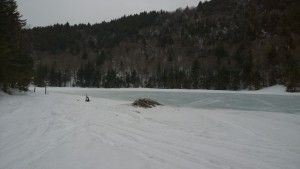 WP_20150411_13_21_08_Pro